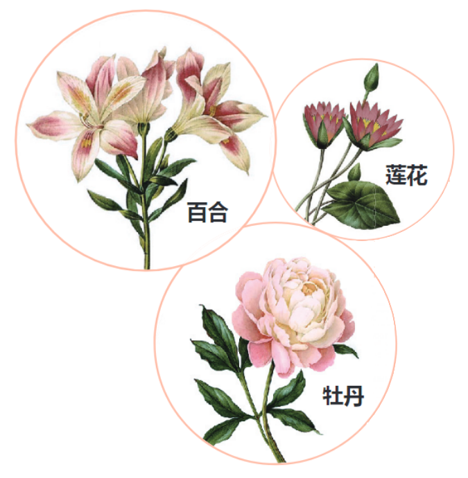 5. 供奉菩薩须知 | 供花(图1)